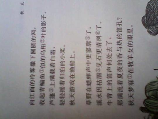 关于优美的句子写景状物大全 关于优美句子的网名