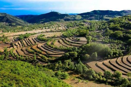 探寻铜川新区的美丽风景