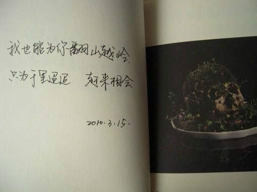 关于初遇相识的唯美句子大全 初遇相识等一些词语