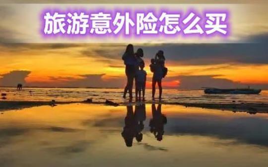 旅游险一天多少钱？