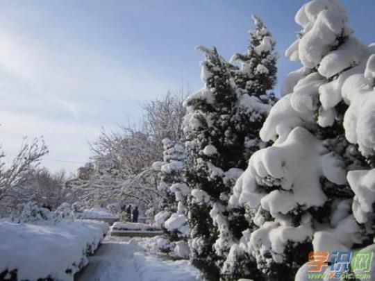 关于期待下雪的优美句子大全 关于期待下雪的句子