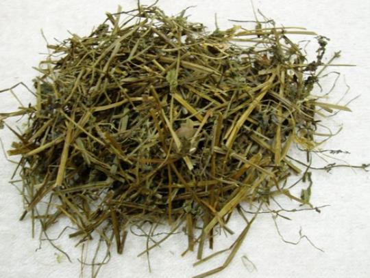 蛇舌草孕妇可以喝吗