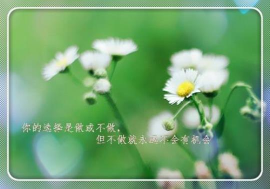 关于新工作努力加油的句子说说心情说说大全 关于工作努力的励志句子