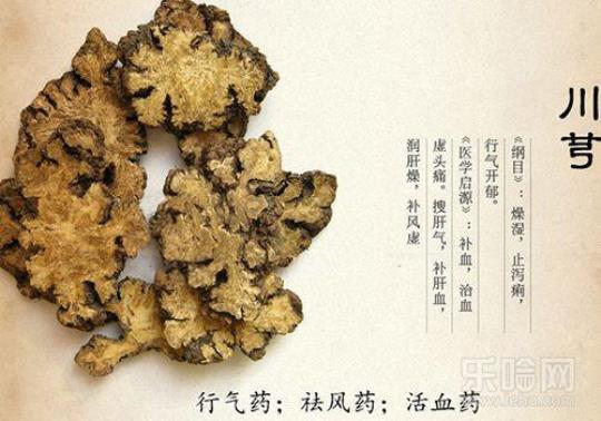 川芎的功效与作用及中药禁忌是什么