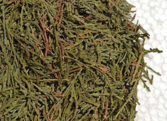 侧柏叶泡酒擦头一年多有没有危害？