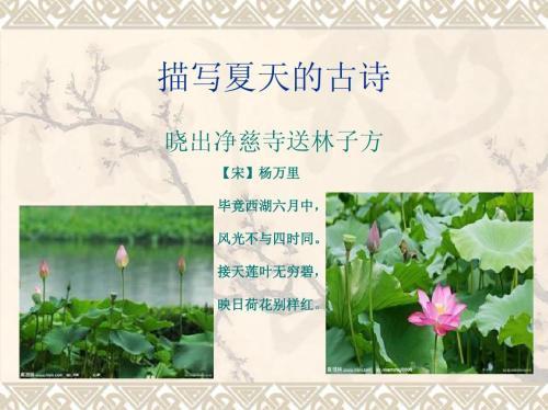 夏天的诗词100首 