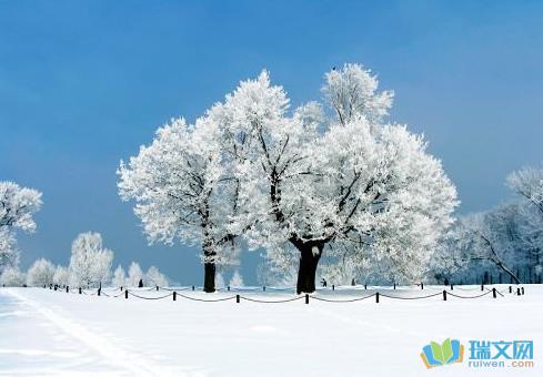 关于冰雪诗句合集(实用) 关于冰雪诗句写出来