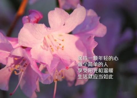 关于幸福自信的句子说说心情大全 关于幸福自信成功的的比喻句