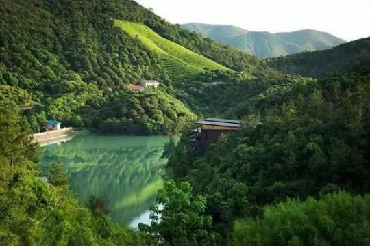 莫干山景点（探秘莫干山的自然风光和人文历史）