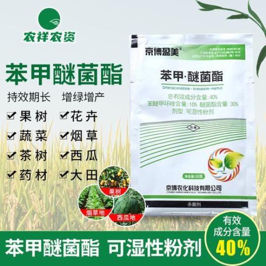 苯甲醚菌酯治什么病