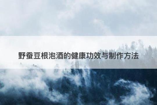 野蚕豆泡酒功效