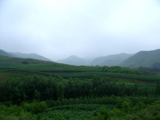雨中大山的优美句子