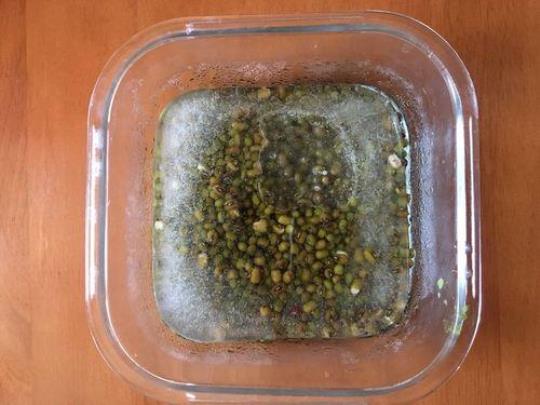 绿豆用冰箱冻容易煮烂