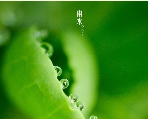 关于雨水形容心情的句子大全 夏季雨水多怎么形容