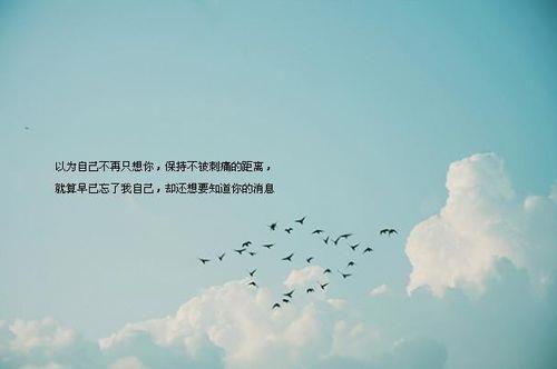 形容失恋很痛的句子说说心情