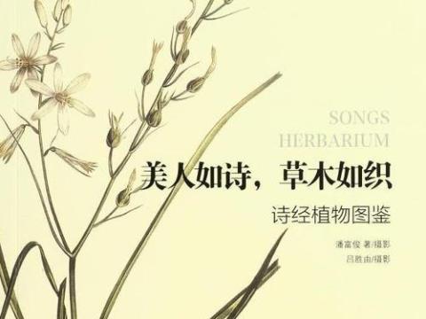 关于诗经里形容芳草诗句合集(通用) 诗经形容男子的句子