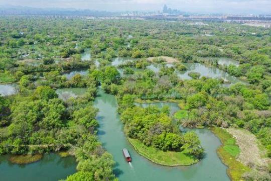 西溪湿地官网（探索西溪湿地自然之美）