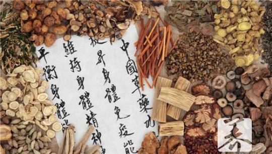 黄芪精口服液的主治功能有哪些