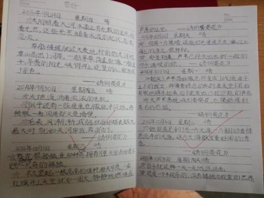 关于优美句子500大全 关于优美句子的网名