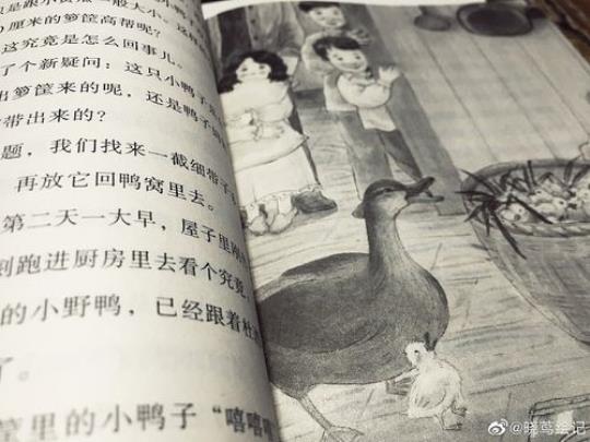 鸭的优美句子