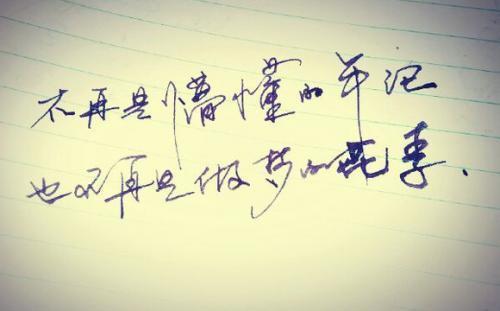 关于富有优美哲理的句子大全 富有优美的句子