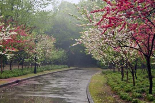 关于形容蒙蒙夏雨的诗句合集(优选) 形容蒙蒙细雨的诗