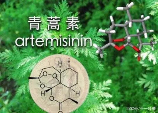 青蒿素的作用是什么