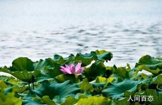 关于形容夏天晴天的诗句合集(优选) 关于形容夏天的四字词语