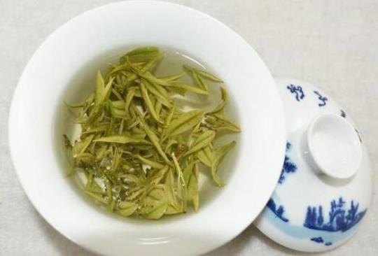 白茶用多少度水冲泡