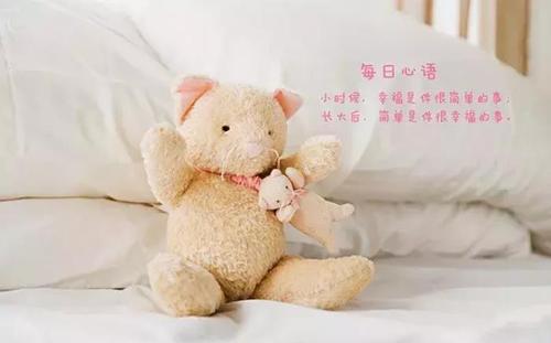 简单点的句子说说心情