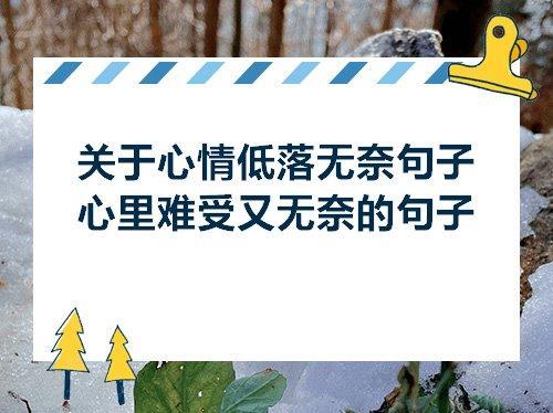 关于表示心情特别复杂的句子大全 关于表示心情的四字词语解析