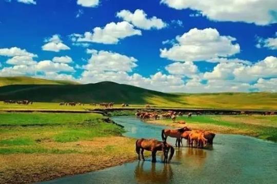 内蒙旅游佳季节(内蒙最佳旅游时节攻略)
