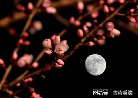 关于形容夜里寻欢作乐的诗句合集(优选) 形容夜里的成语