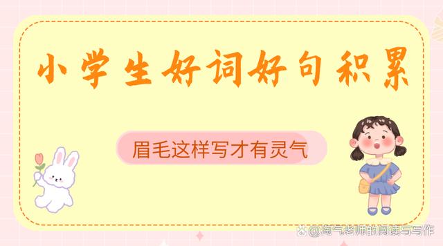 描写同学眉毛的优美句子