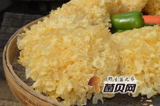 鲜银耳冷冻能保存多久