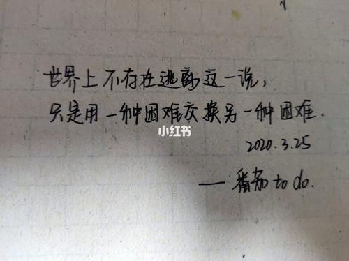 关于冒险精神的优美句子大全 关于冒险精神的作文800字