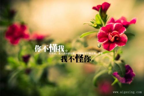 关于对朋友美好的短句子说说心情大全 关于朋友美好的文案500