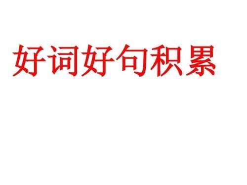 一些优美的词语和句子
