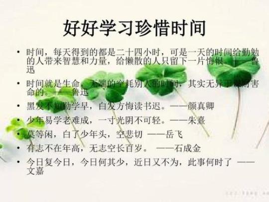 关于青少年珍惜时间的诗句合集(实用) 关于青少年珍惜时光的简短语录