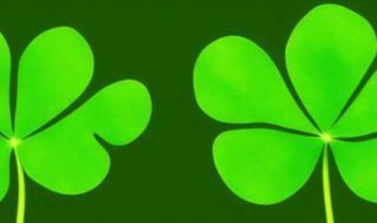 四叶草的寓意是什么