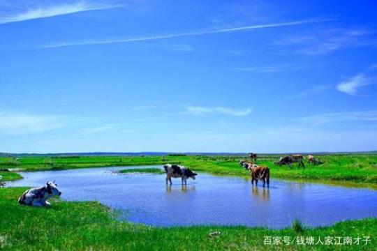内蒙东胜旅游景点大全玩转美丽草原之旅