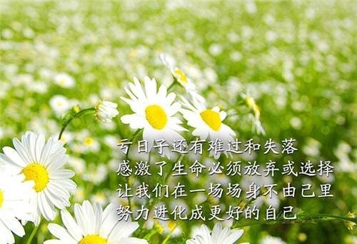 关于激昂优美句子大全 优美激昂的意思