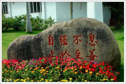 厦大唯美句子