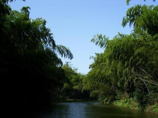 了解竹海明珠景点精彩旅行指南