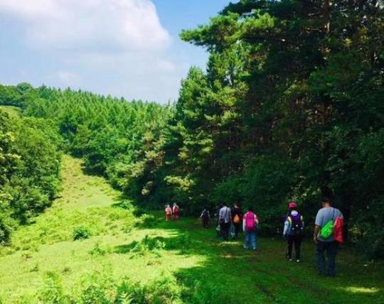 九台八台岭门票多少钱(九台八台岭景区门票价格查询)