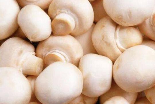 白蘑菇禁忌