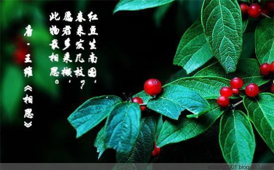 关于王维红豆的诗句合集(精选) 关于王维红豆的不同英语译本