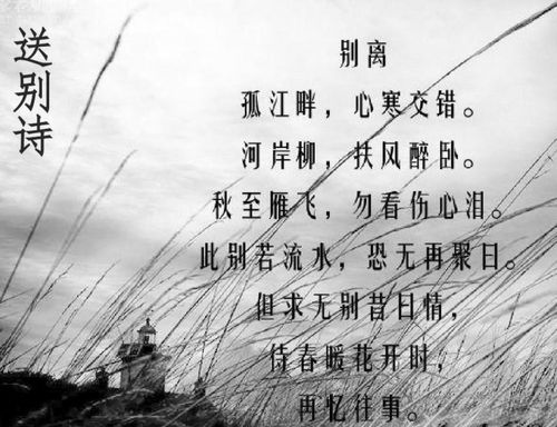 关于五句相聚离别的诗句合集(通用)