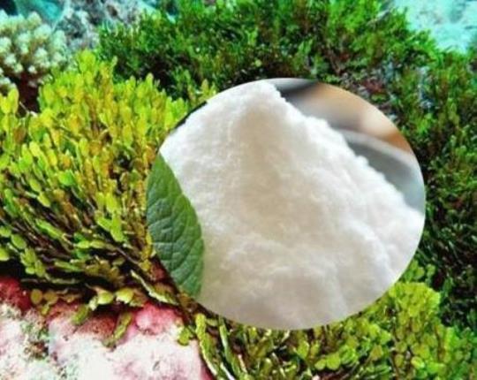 海藻糖和白砂糖的区别