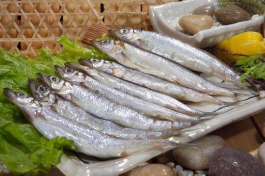 多春鱼禁忌